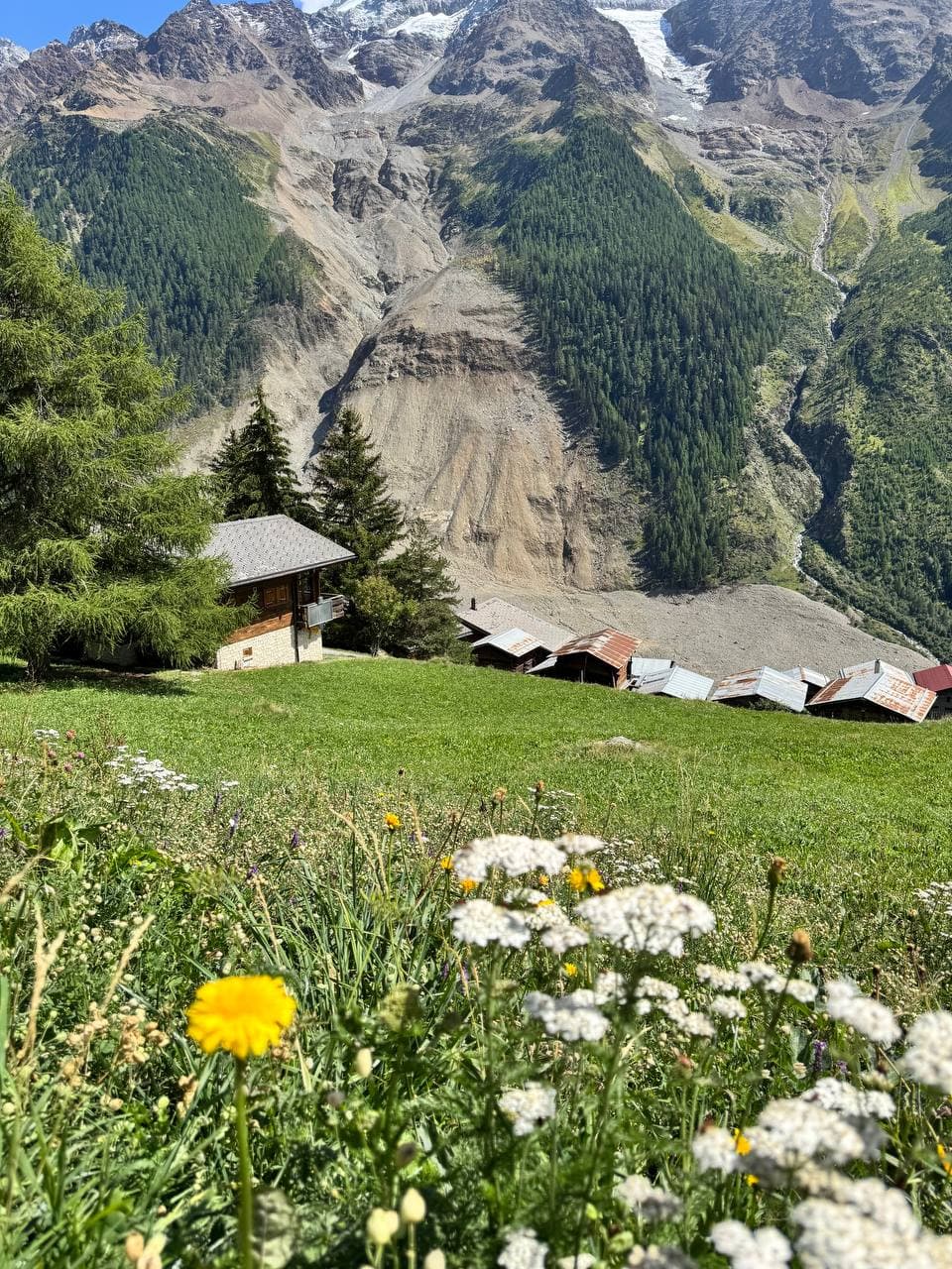 Blumenwiese vor Walliser Holzhäusern im Lötschental