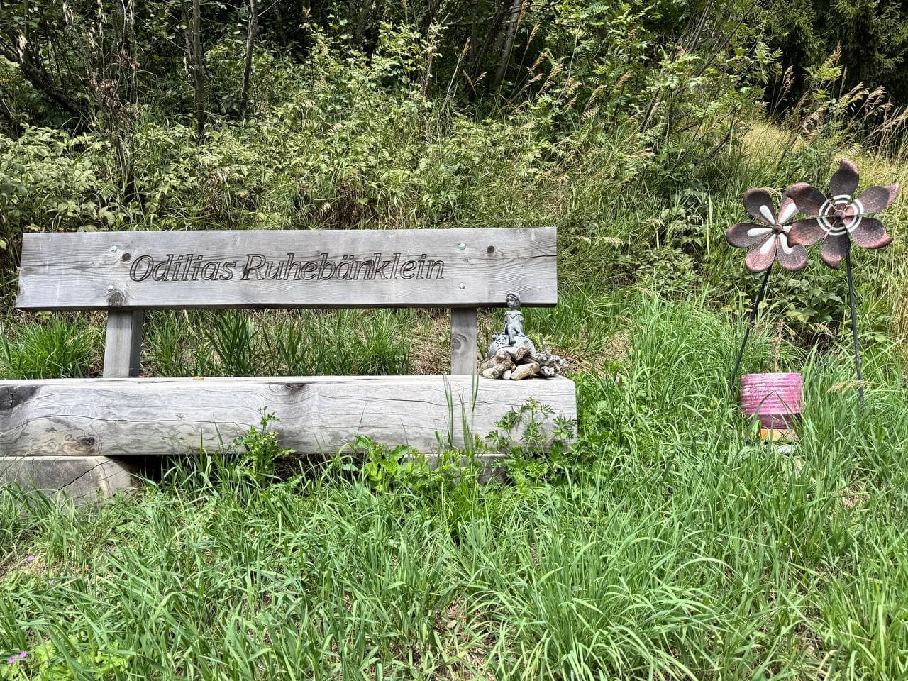 Holzbank auf einer Wiese – ein Ort zum Zuhören